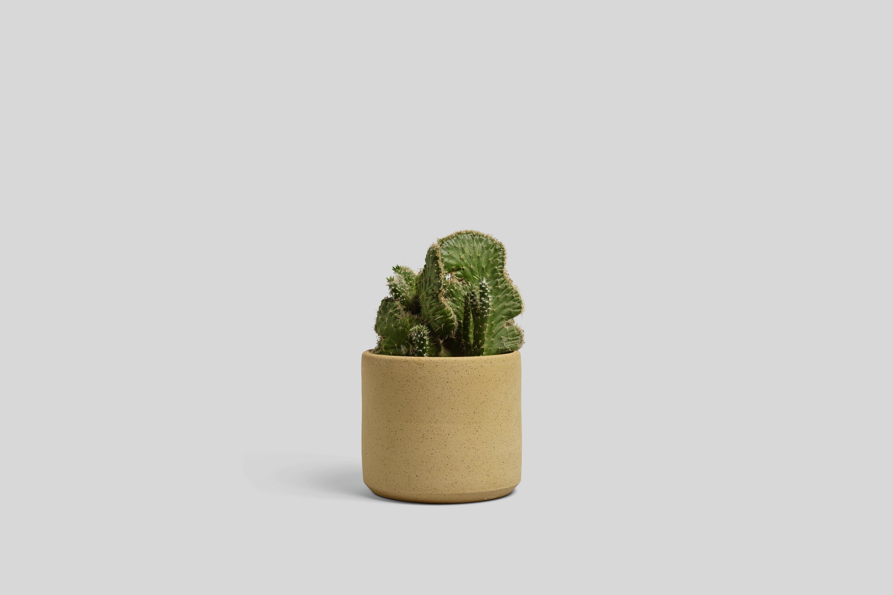 Norden 7" Planter (Raw Speckle)