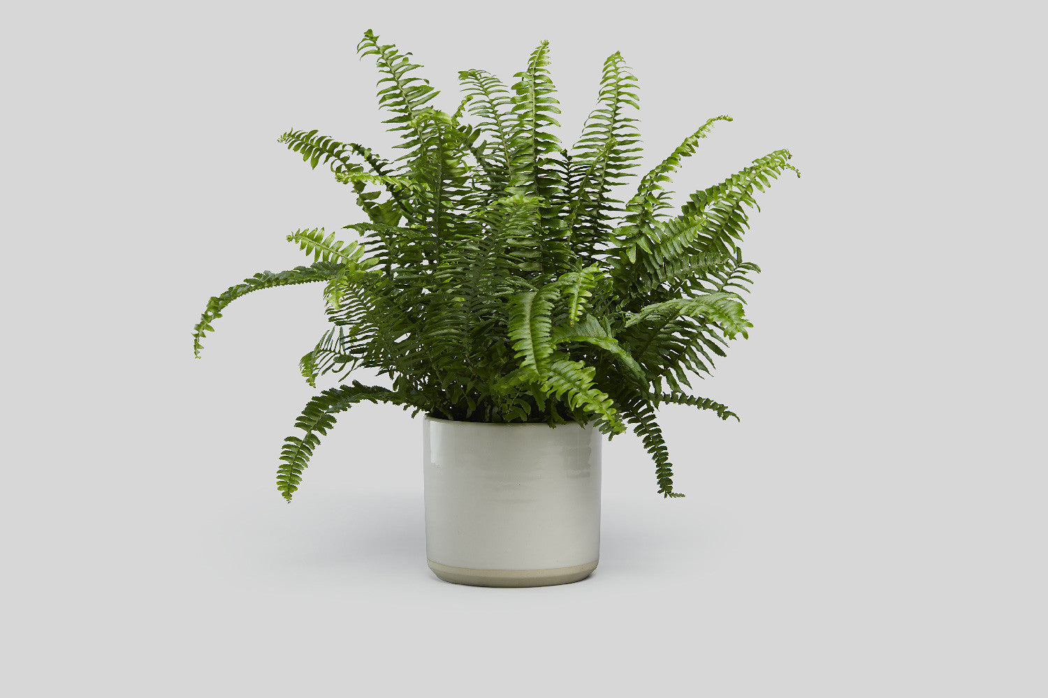Norden 7" Planter (White/Raw)