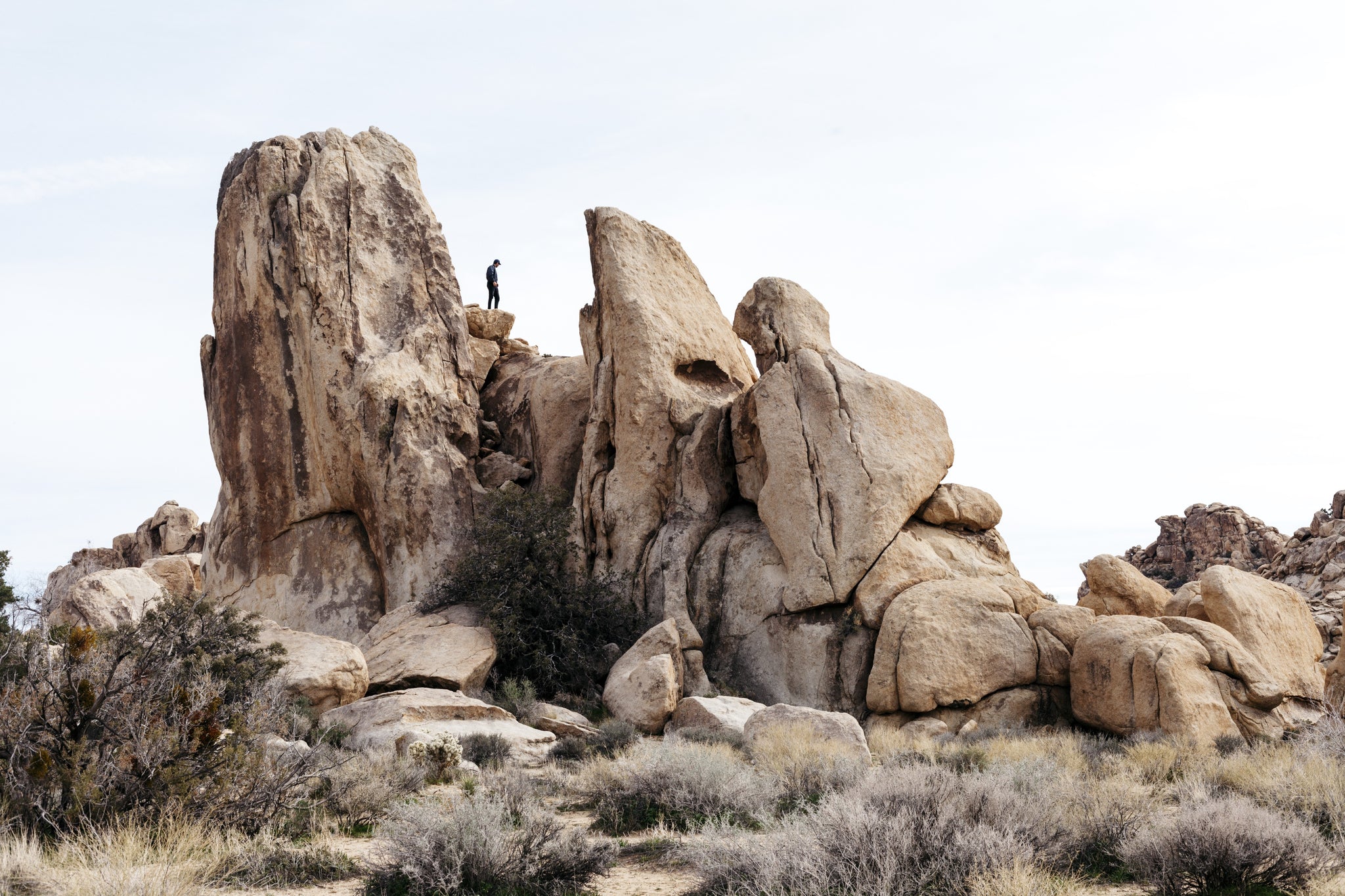 Joshua Tree Travel Guide