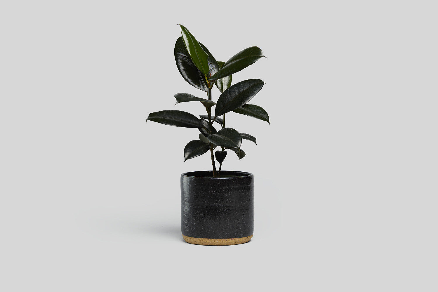 Norden 7" Planter (Black Speckle)